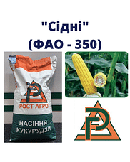 Кукурудза "СІДНІ" Рост-Агро (ФАО-430)