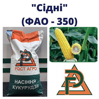 Кукурудза "СІДНІ" Рост-Агро (ФАО-430)