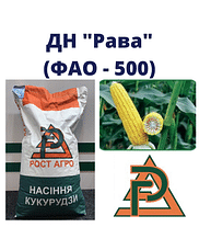 Кукурудза "ДН Рава" Рост-Агро (ФАО-500)