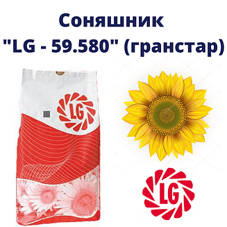 "ЛГ 59.580" Limagrain (під Гранстар)