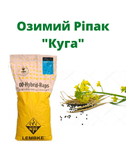Ріпак "Куга" Lembke / Лембке (Традиційний)
