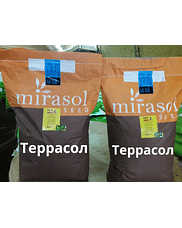 Террасол (TERRASOL) Мірасол (Традиційний)