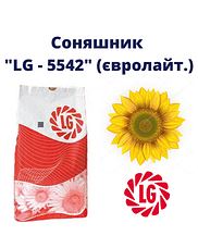 "ЛГ - 5542" Limagrain (під Євро-Лайтнінг)