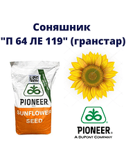 "П64ЛЕ119" Pioner (під Гранстар)