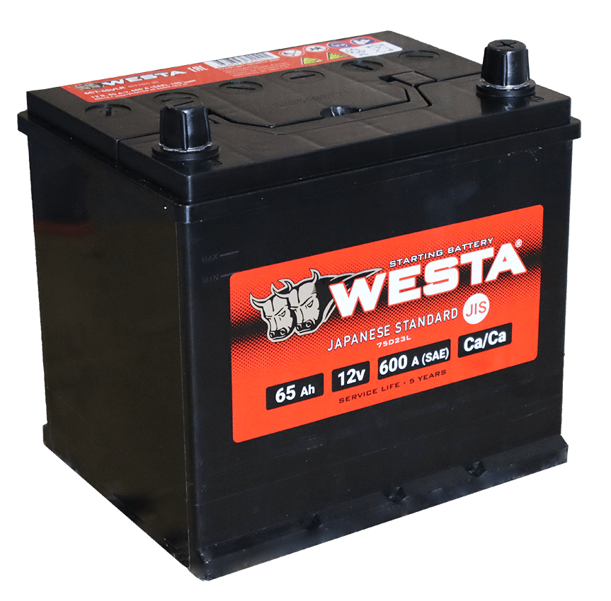 Аккумулятор WESTA ASIA 65Ah 600A R+