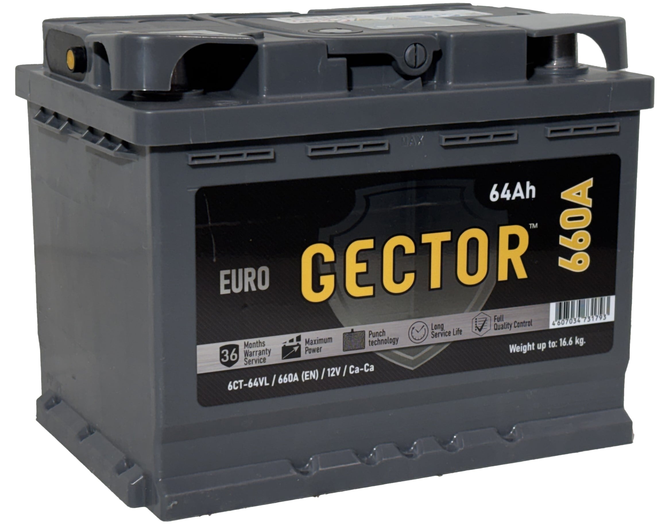 Аккумулятор GECTOR 64Ah 660A R+ L2