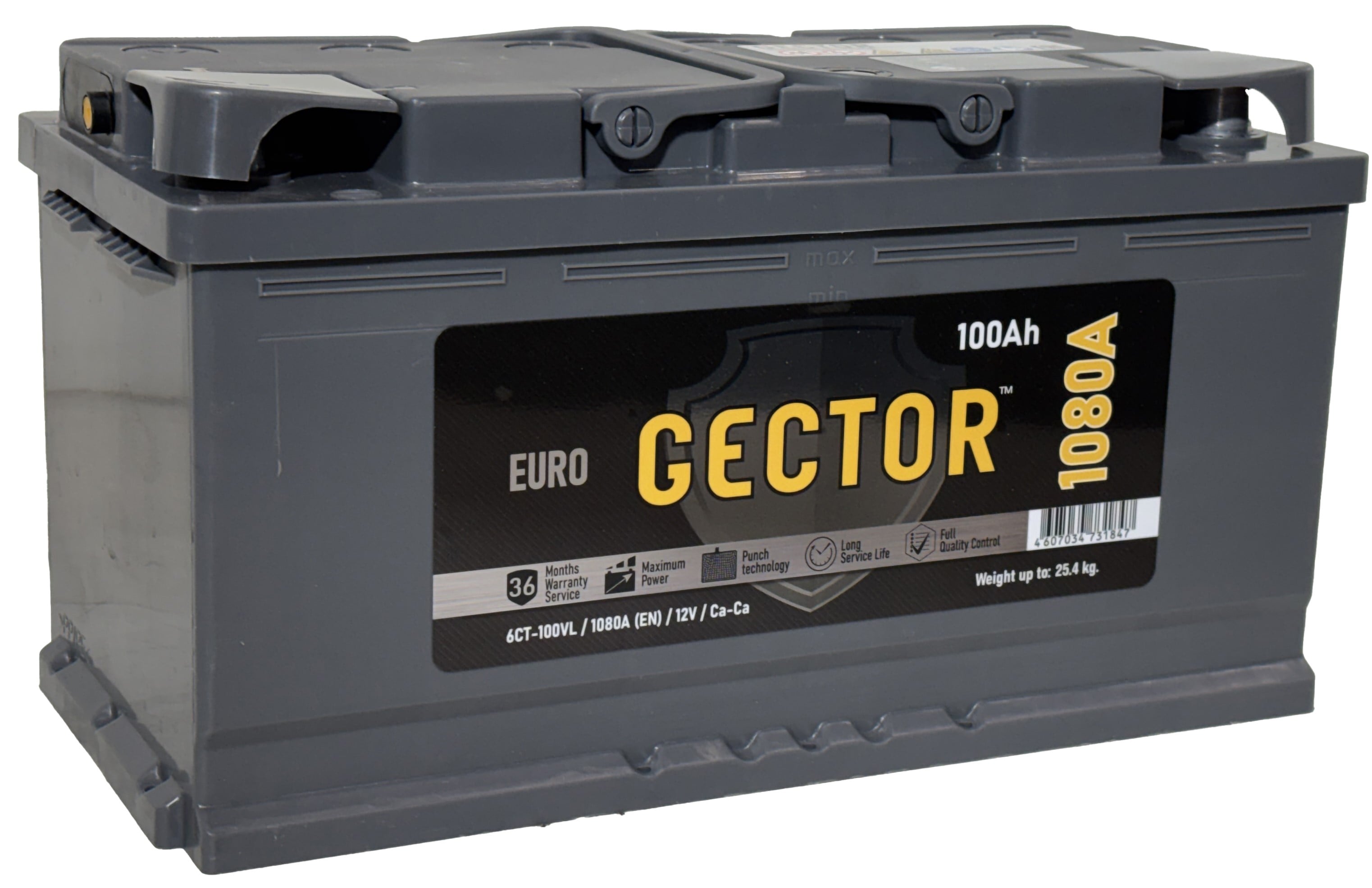 Аккумулятор GECTOR 100Ah 1080A R+ L5