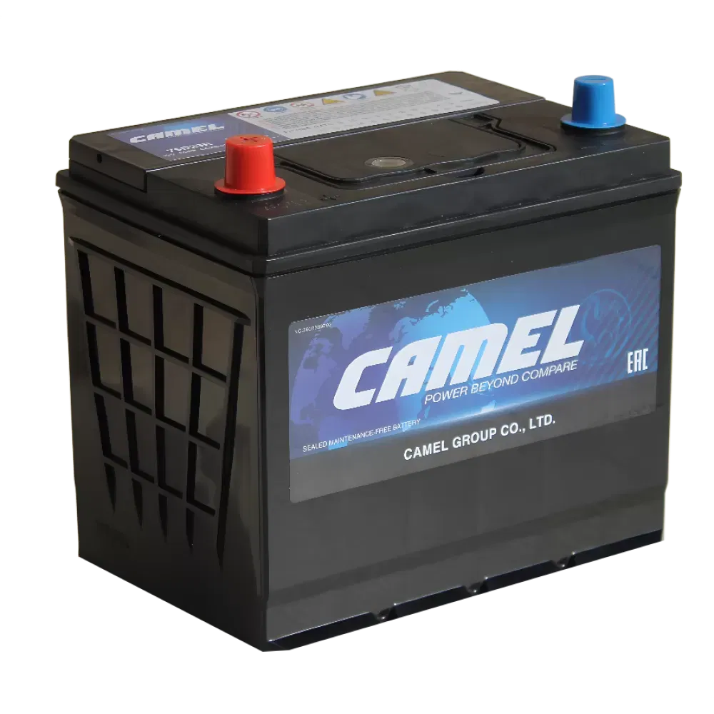 Аккумулятор CAMEL ASIA 65Ah 590A L+