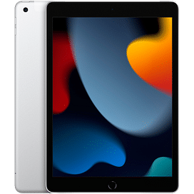 10.2-inch iPad Wi-Fi + Cellular 256GB - Silver Apple MK4H3