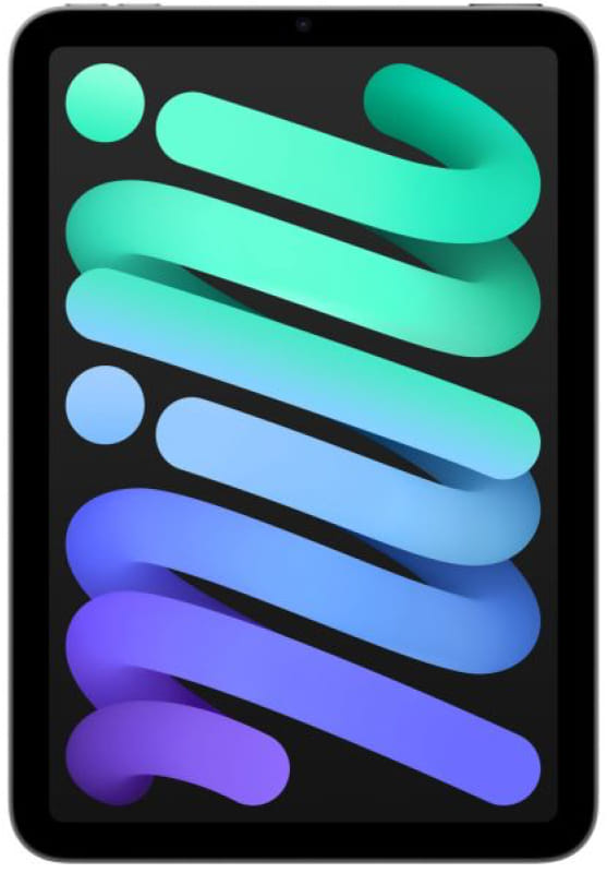 iPad mini Wi-Fi + Cellular 256GB - Space Grey Apple MXPT3