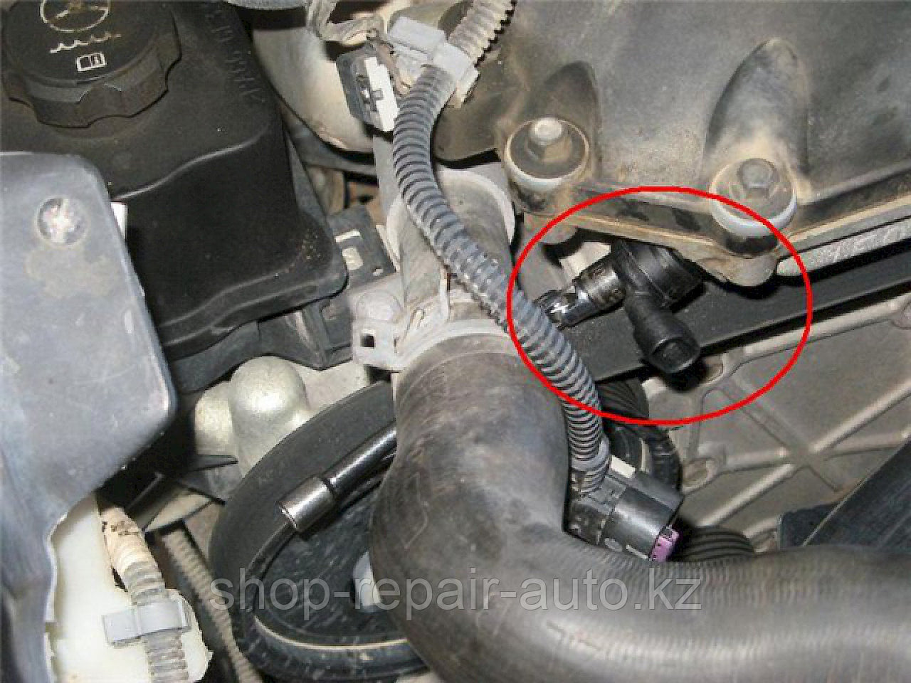 Датчики FEBI BILSTEIN