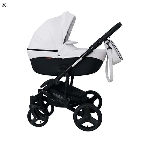 Коляска 2 в 1 Ray Corsa ecco цвет 26