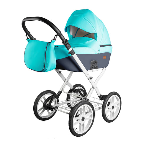Коляска 2 в 1 Ray Corsa ecco classic цвет 20