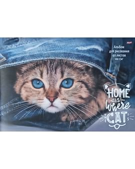 Альбом для рисования Кот в джинсах 40 л