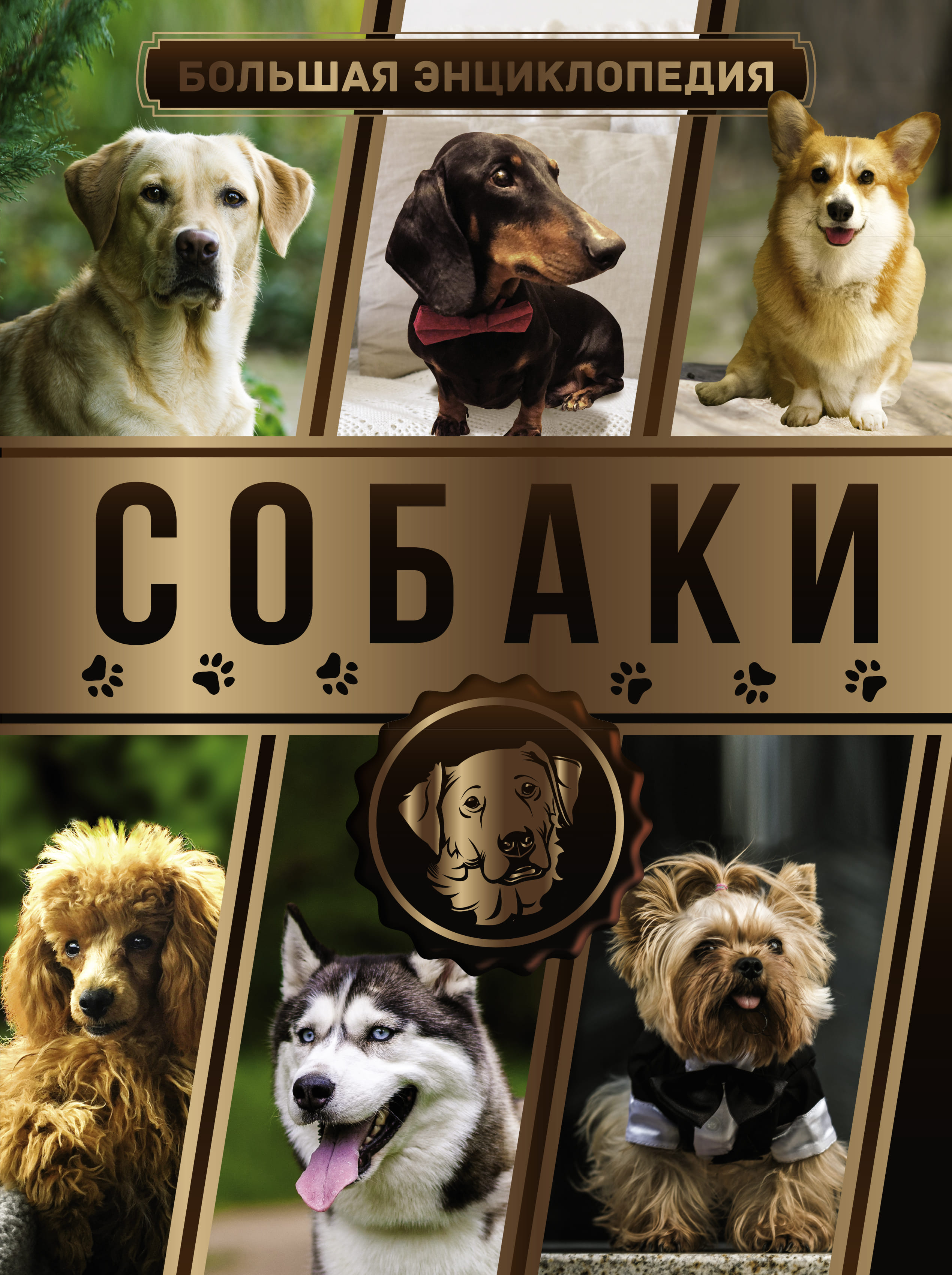 Большая собака авто