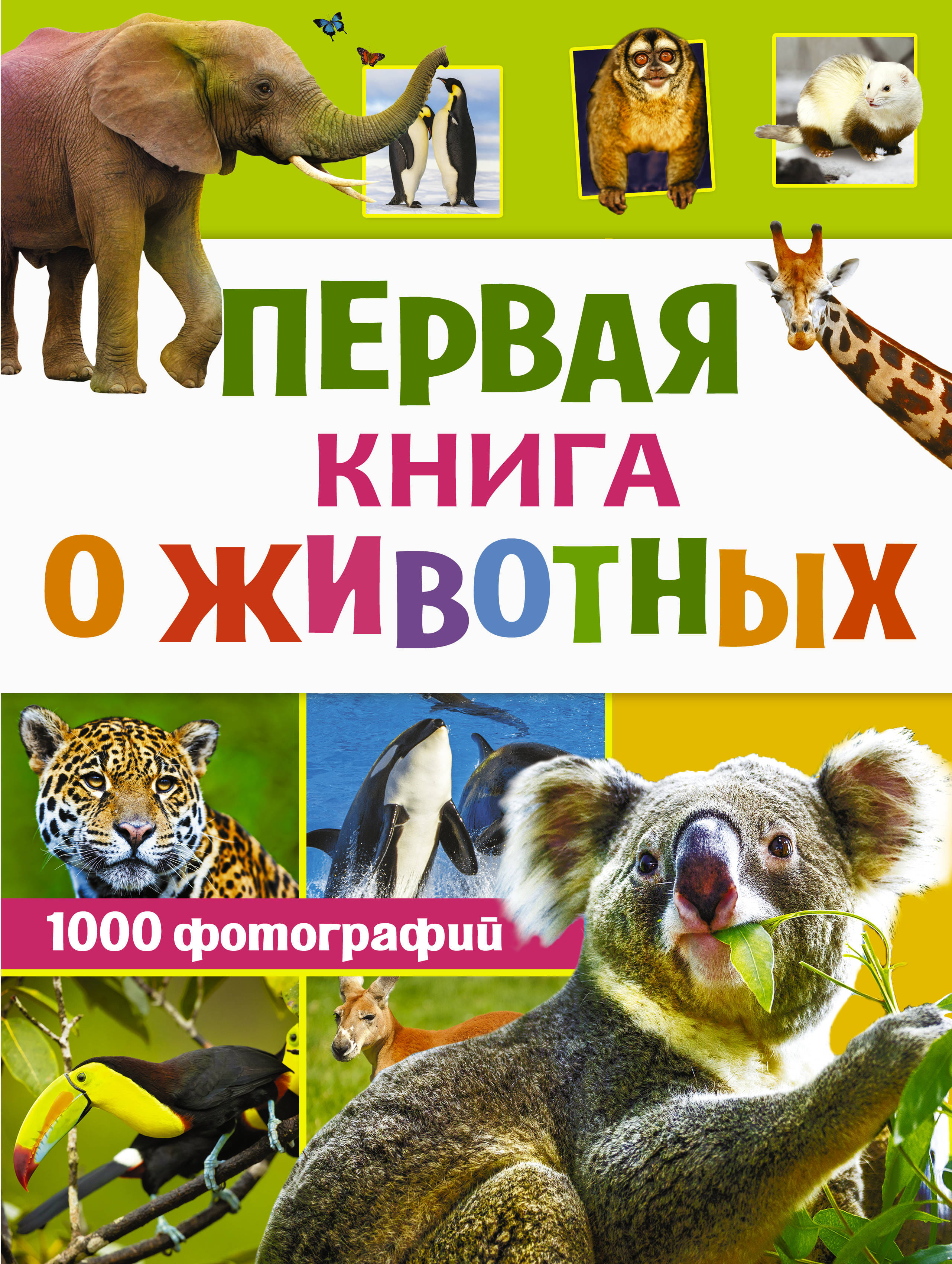 Книга про луаз