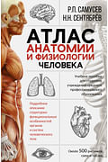Атлас анатомии и физиологии человека. Учебное пособие для студентов учреждений среднего профессионал Артикул: 87394 АСТ Самусев Р.П., Сентяб Атлас анатомии и физиологии человека. Учебное пособие для студентов учреждений среднего профессионал Артикул: 87394 АСТ Самусев Р.П., Сентяб