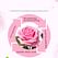 Тонер с лепестками розы Rose Petals Toner (250ml) Bioaqua