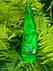 Универсальный увлажняющий гель с противоспалительным действием Aloe Vera 99% Soothing Gel(160ml) Bioaqua