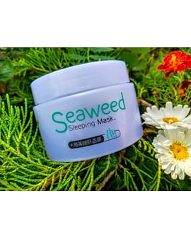 НОЧНАЯ МАСКА - КРЕМ С ЭКСТРАКТОМ МОРСКИХ ВОДОРОСЛЕЙ SEAWEED SLEEPING MASK 120 Г LAIKOI НОЧНАЯ МАСКА - КРЕМ С ЭКСТРАКТОМ МОРСКИХ ВОДОРОСЛЕЙ SEAWEED SLEEPING MASK 120 Г LAIKOI