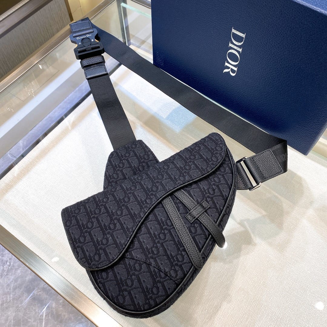 Saddle Dior P637270078.3