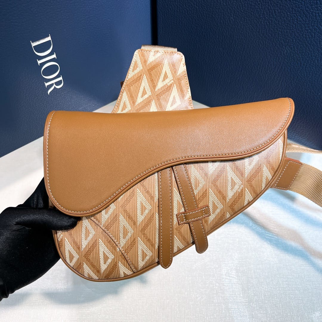 Saddle Dior P7373627088.2