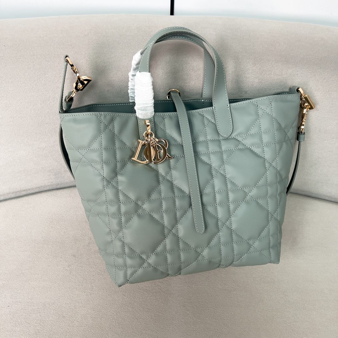Toujours Dior P202308880128.4