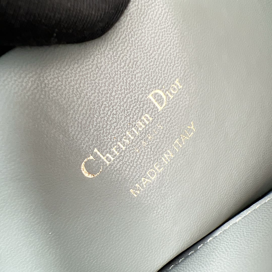 Toujours Dior P202308880128.4