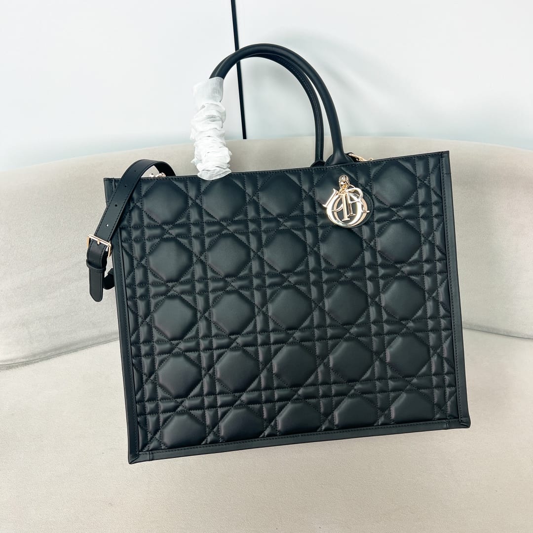 Book Tote Dior P3987660148