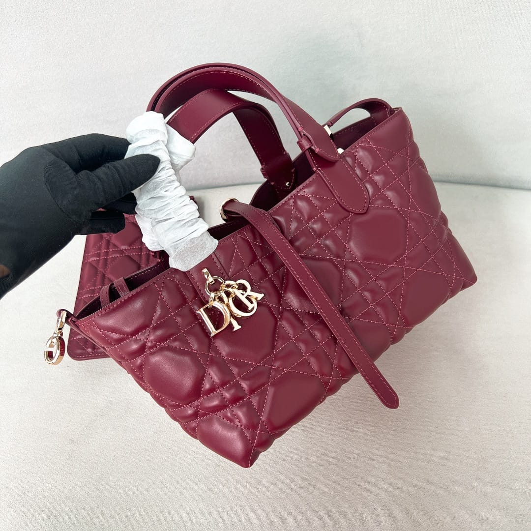 Toujours Dior P202308880128.14