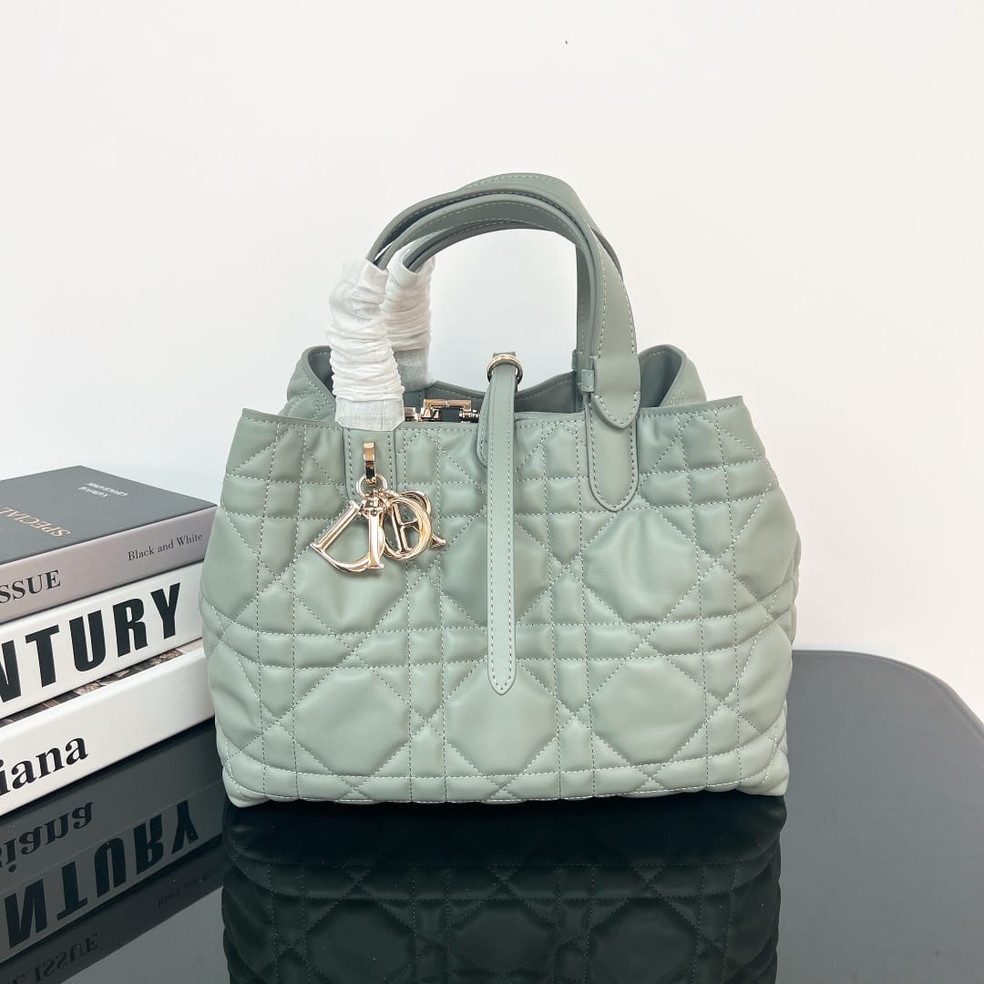 Toujours Dior P202308880138.8