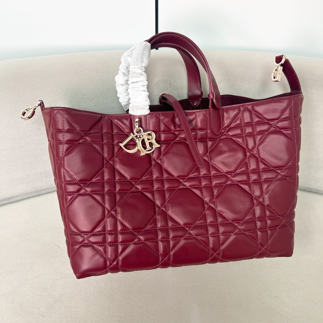 Toujours Dior P202308880148.3
