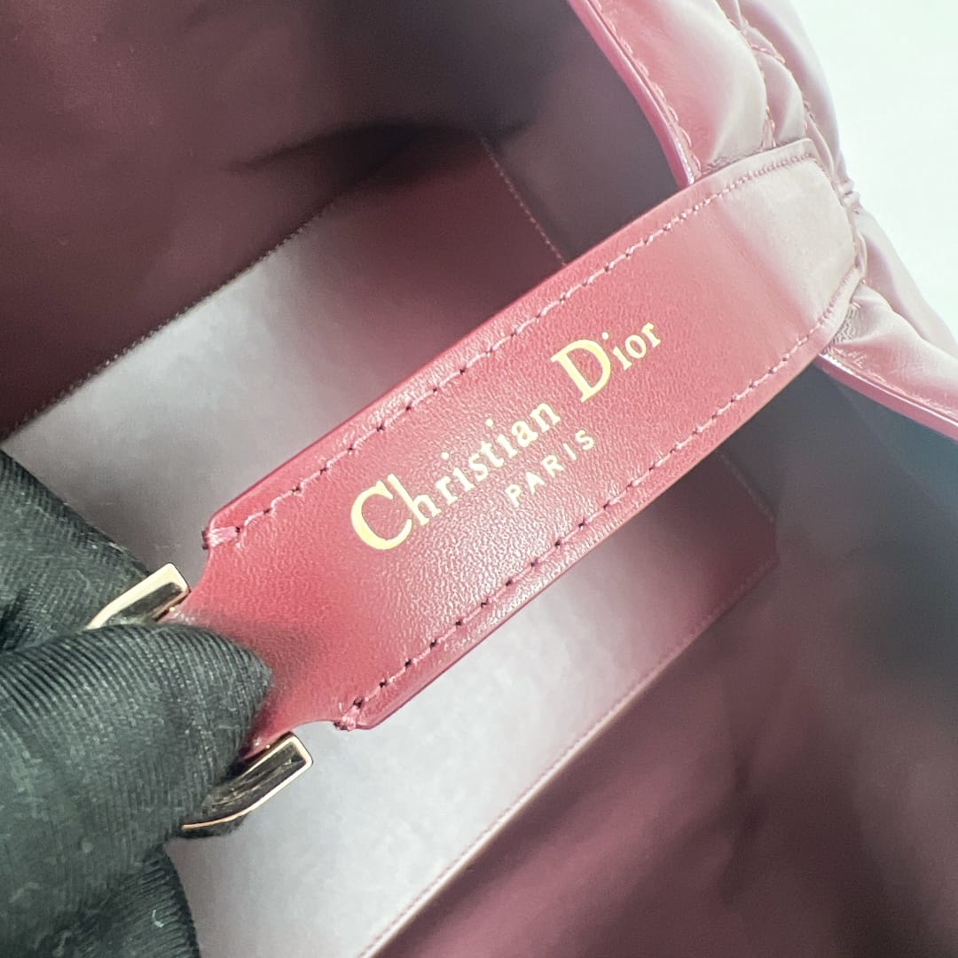 Toujours Dior P202308880148.3