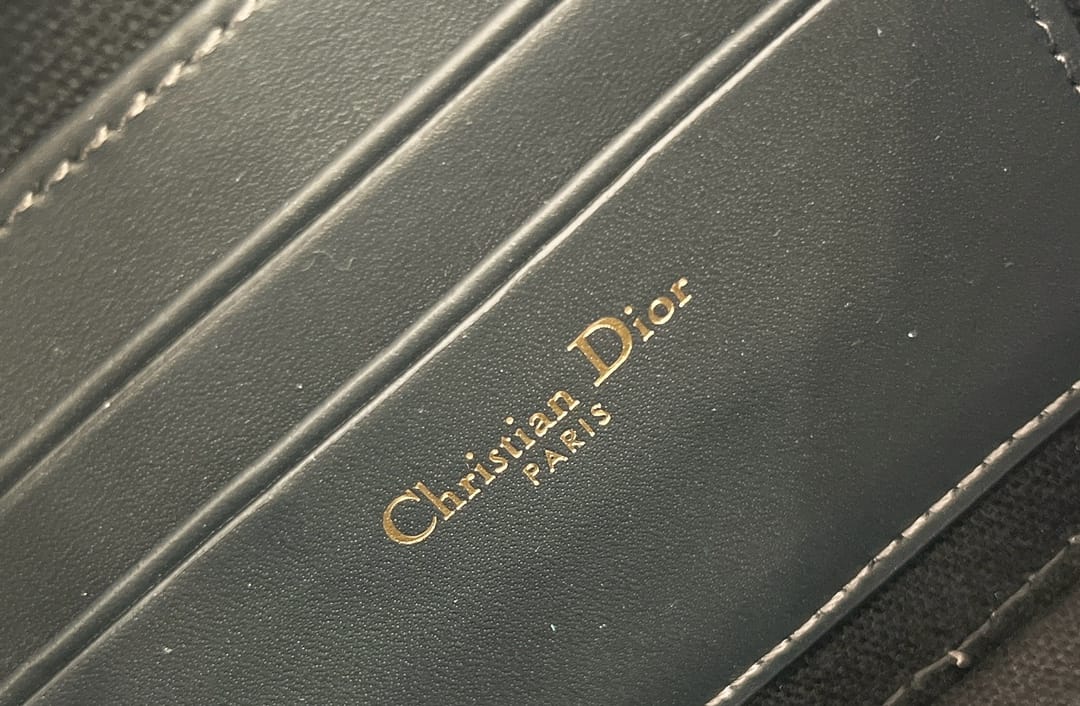 Camera Bag Dior P398766098.9