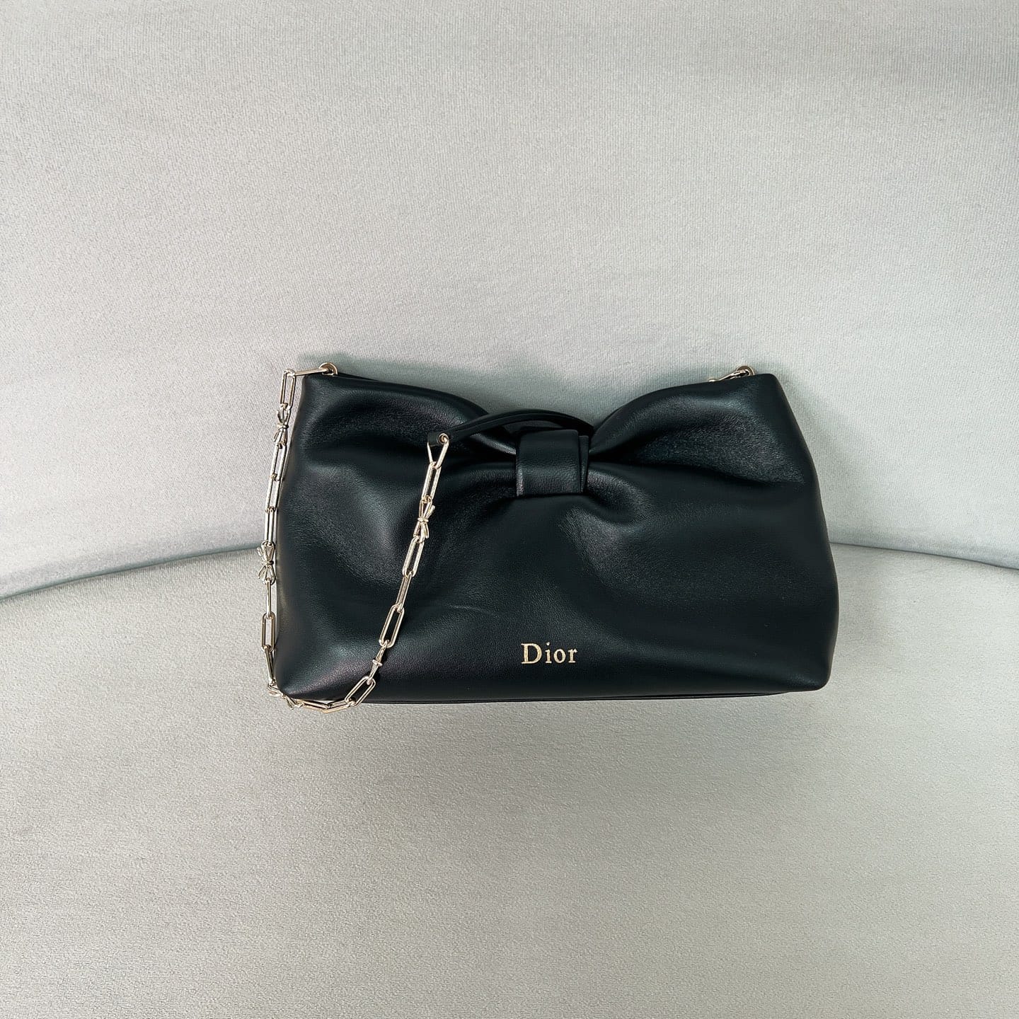 Dior Bow Dior P73620098.1