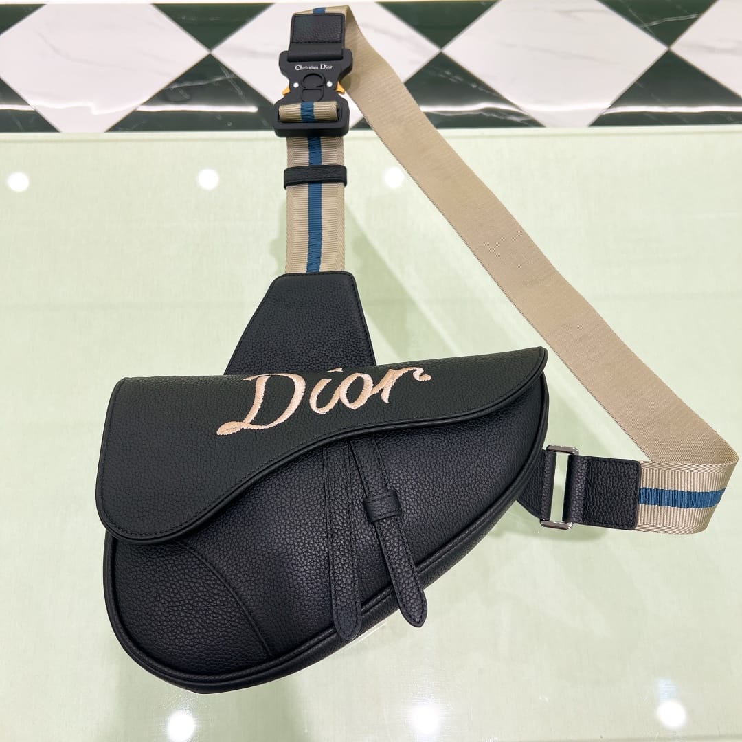 Saddle Dior P7373627098.2