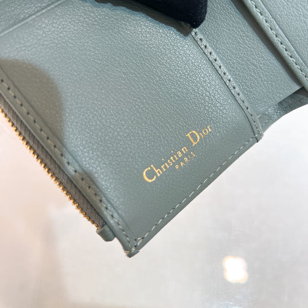 Saddle Dior P73726028.1