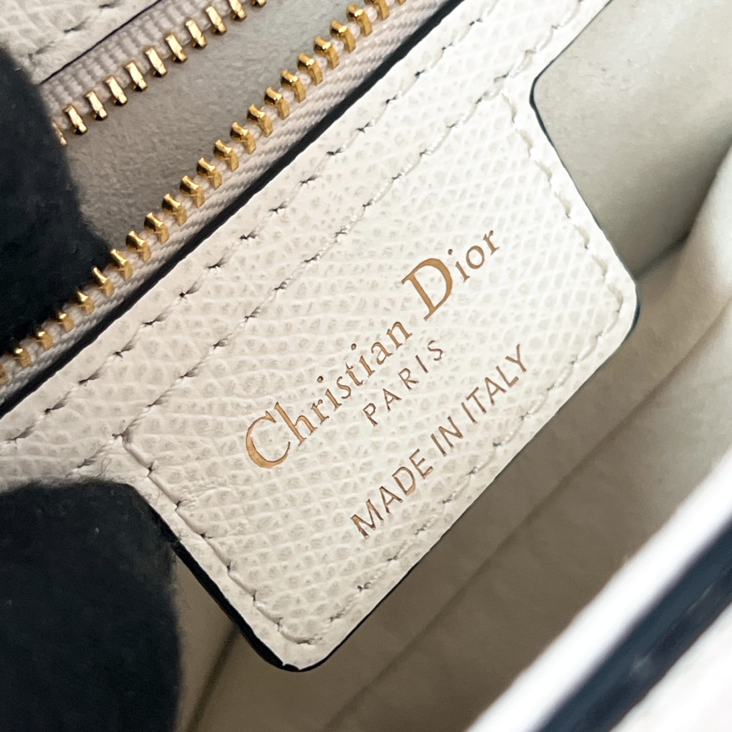 Saddle Dior P3987660118.2