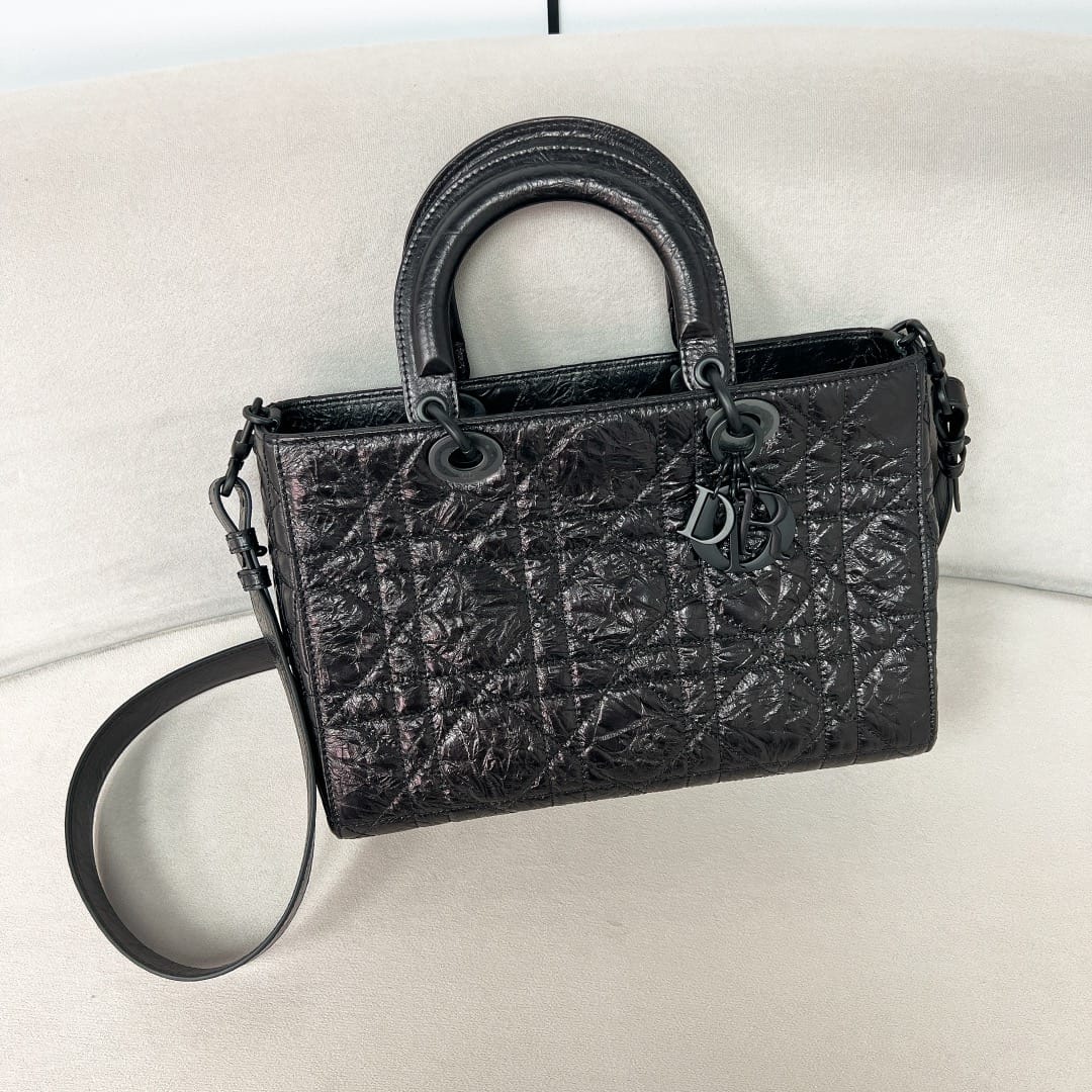 Lady Dior P202308880138.16