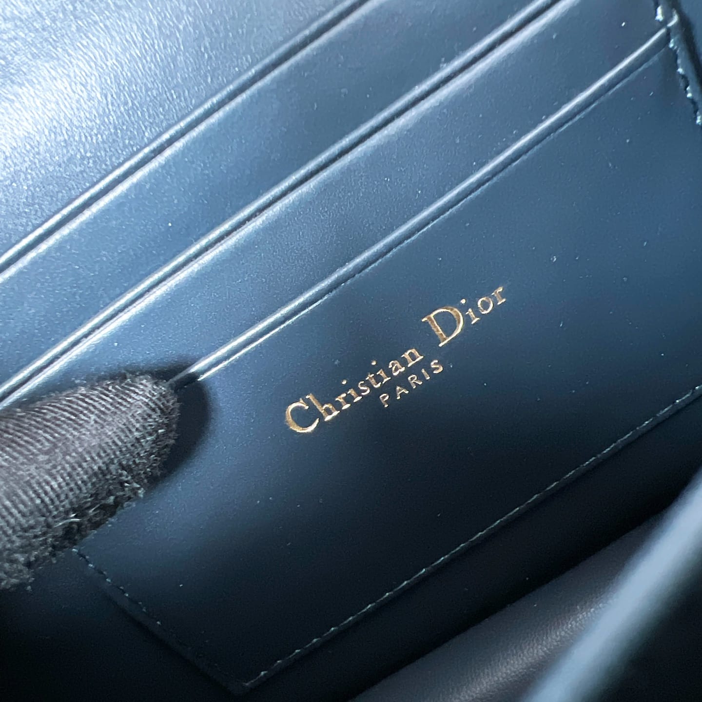 Caro Dior P398766090.3