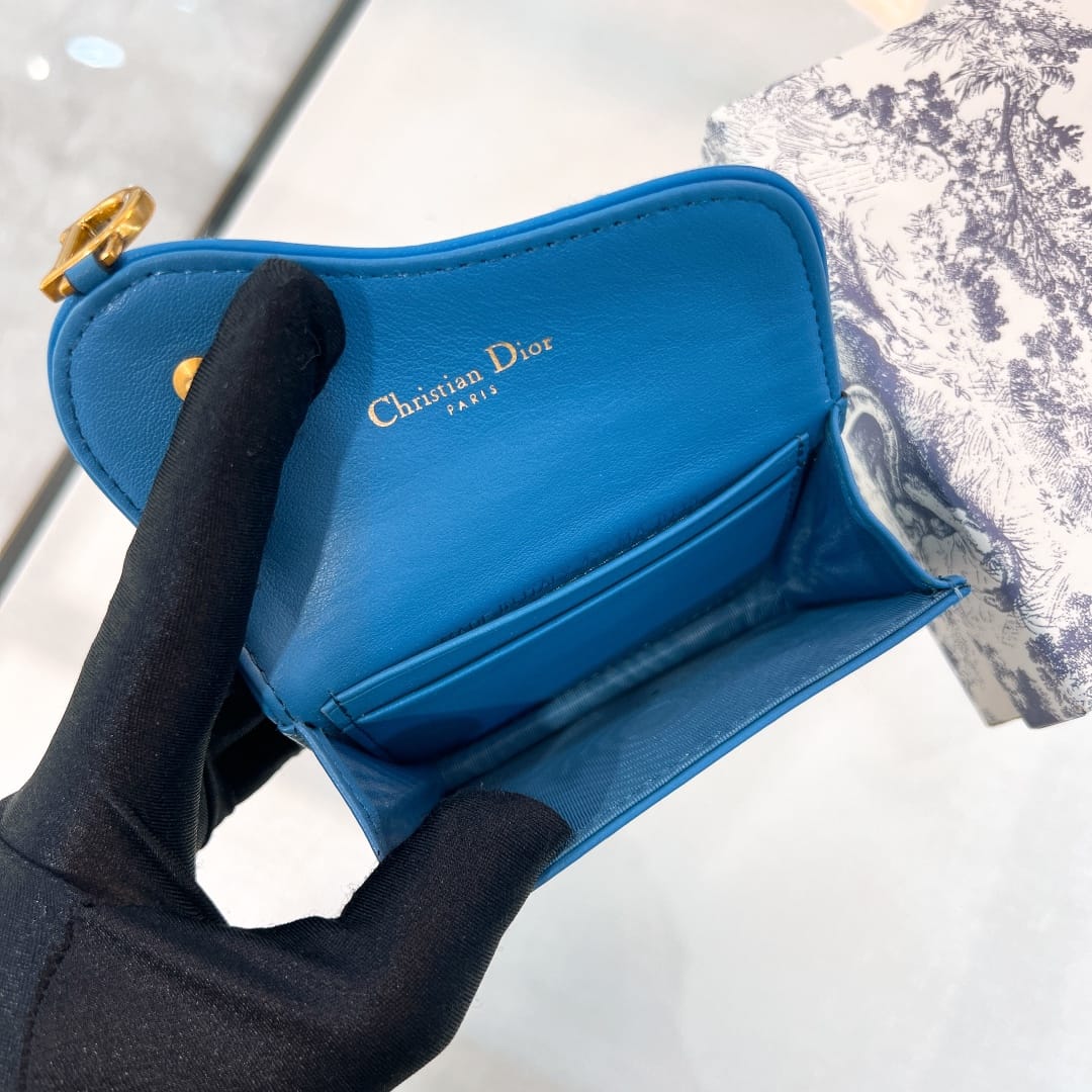 Saddle Dior P6271827022.3