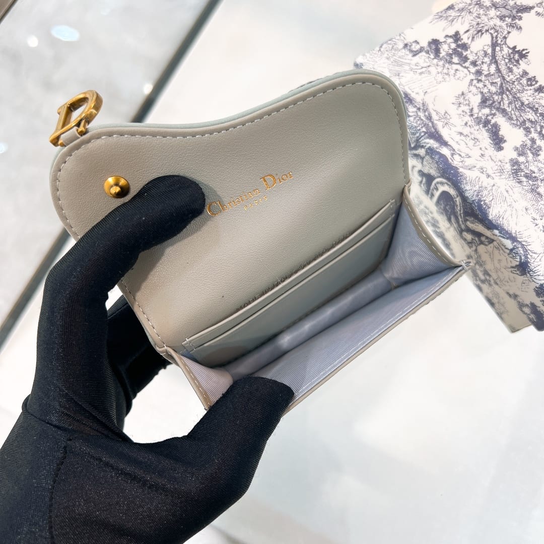 Saddle Dior P6271827022.4