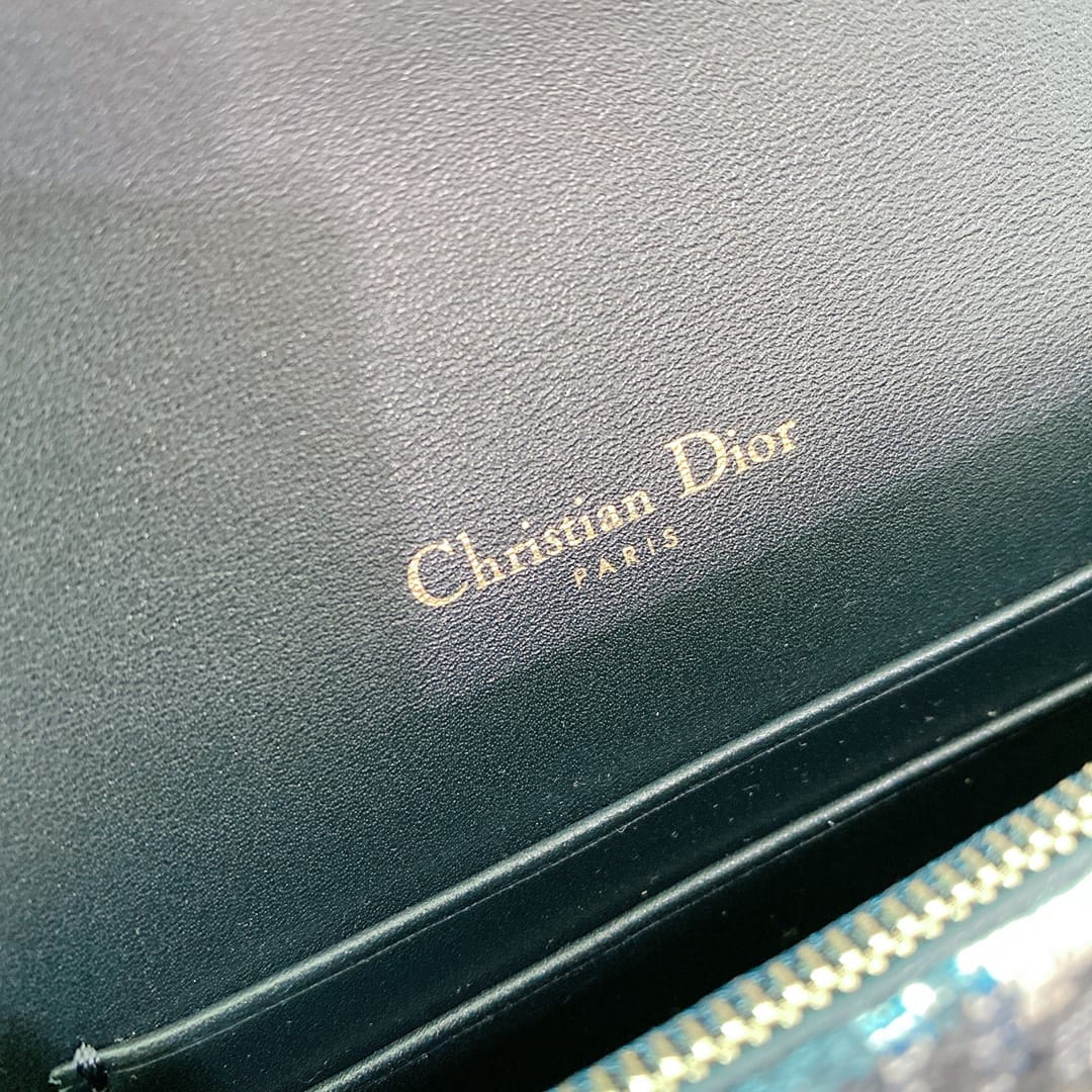 Saddle Dior P398766058.1