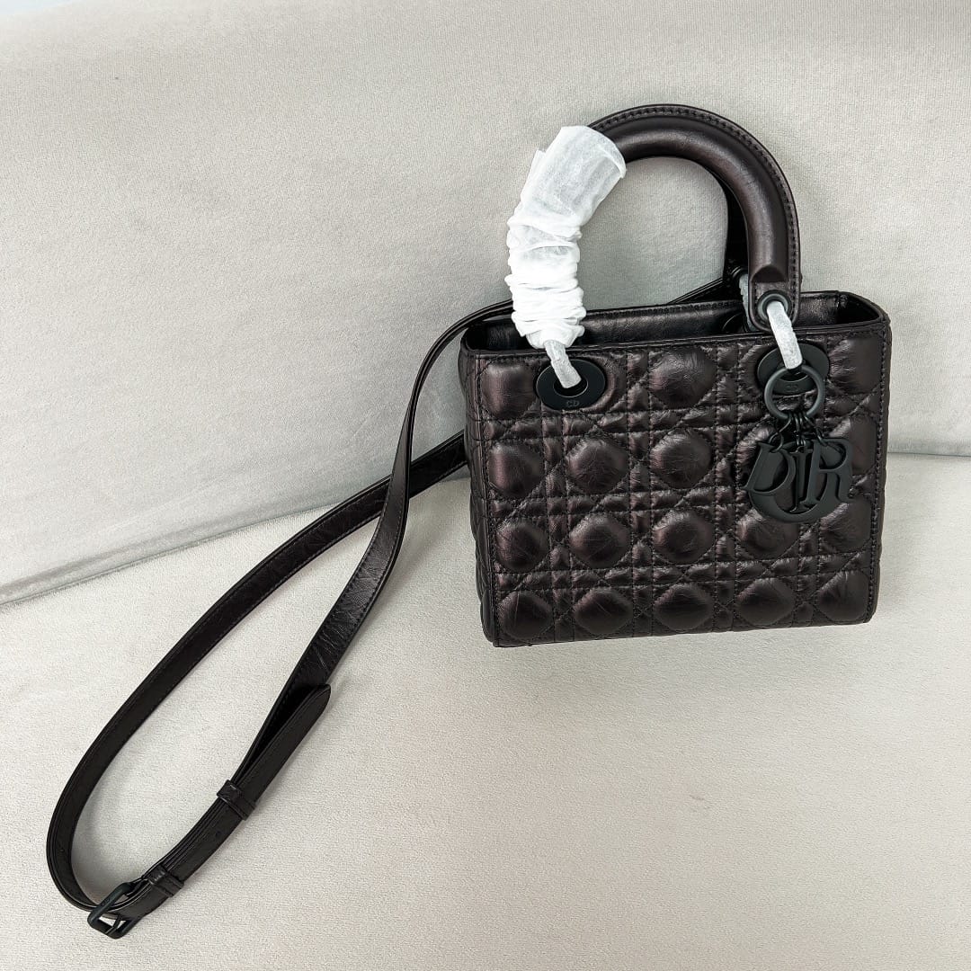 Lady Dior Dior P202308880138.17
