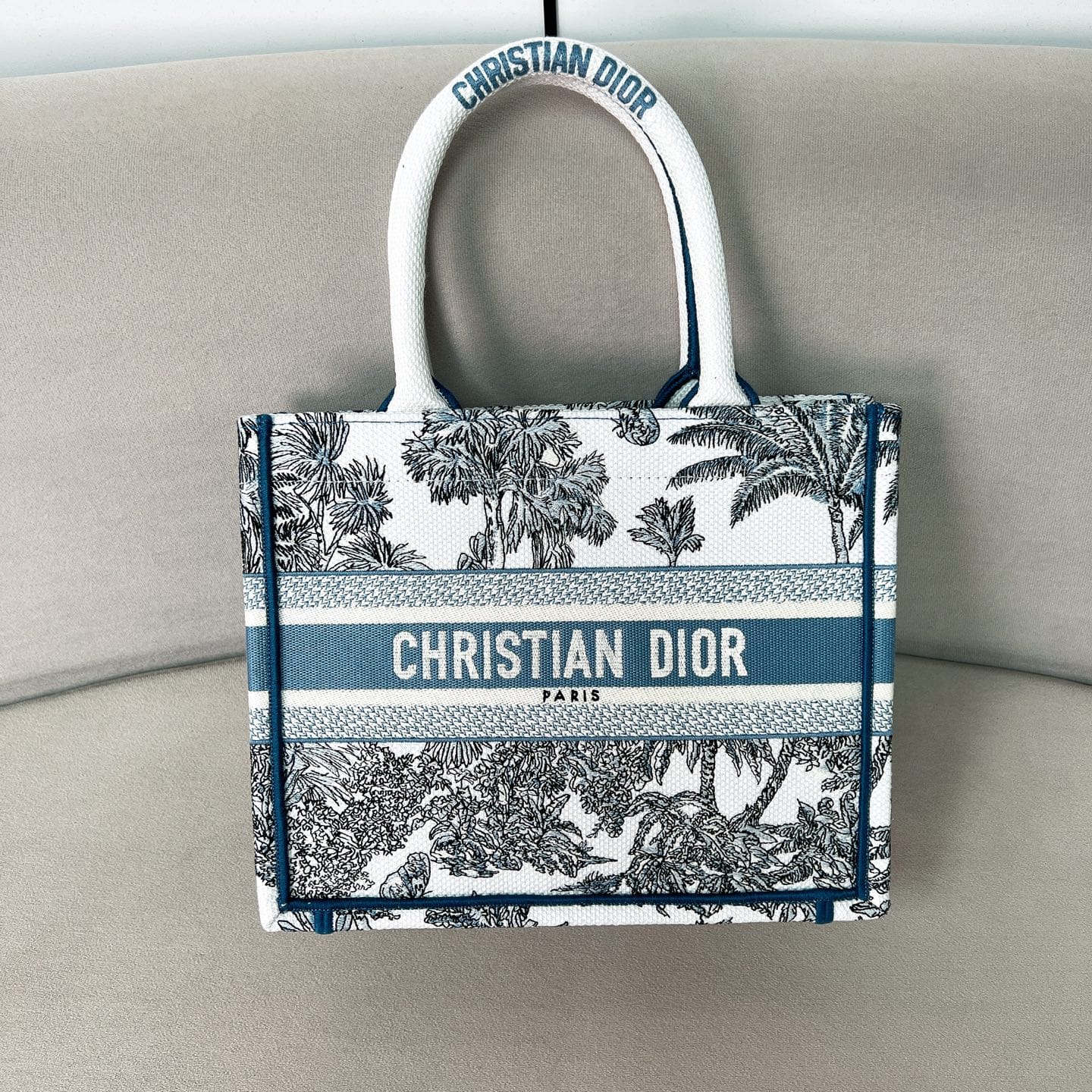 Book Tote Dior P398766076.12