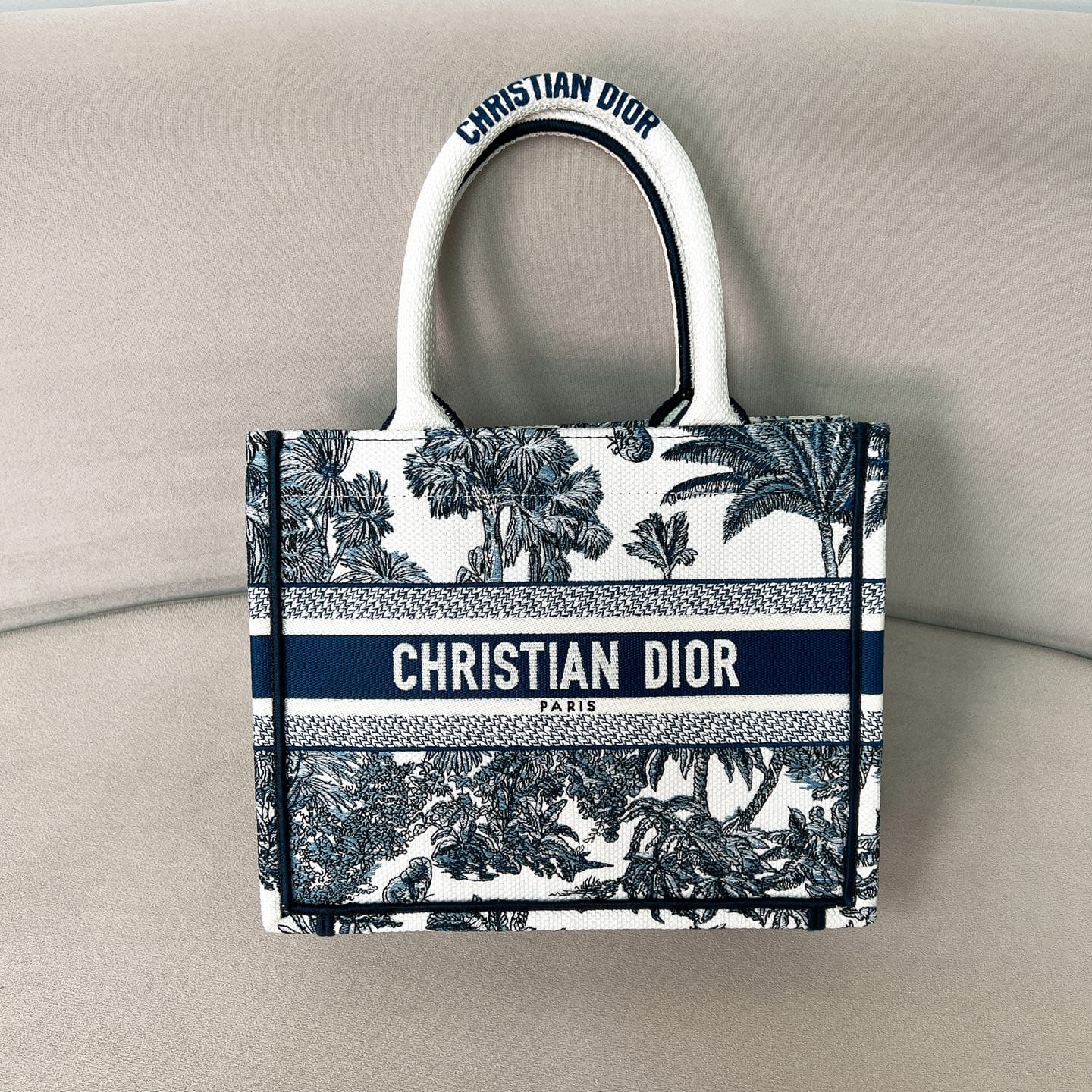 Book Tote Dior P398766076.13