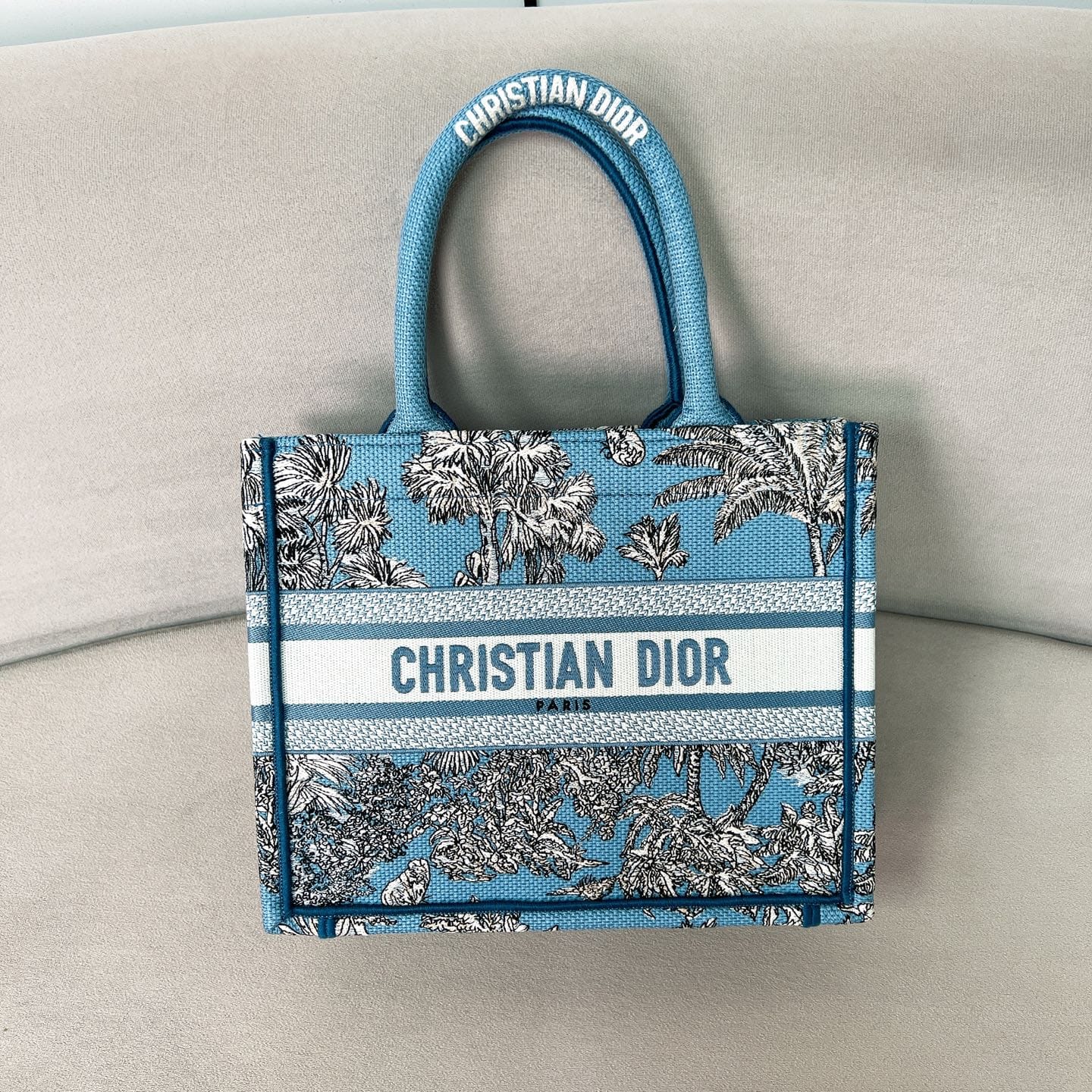 Book Tote Dior P398766076.14