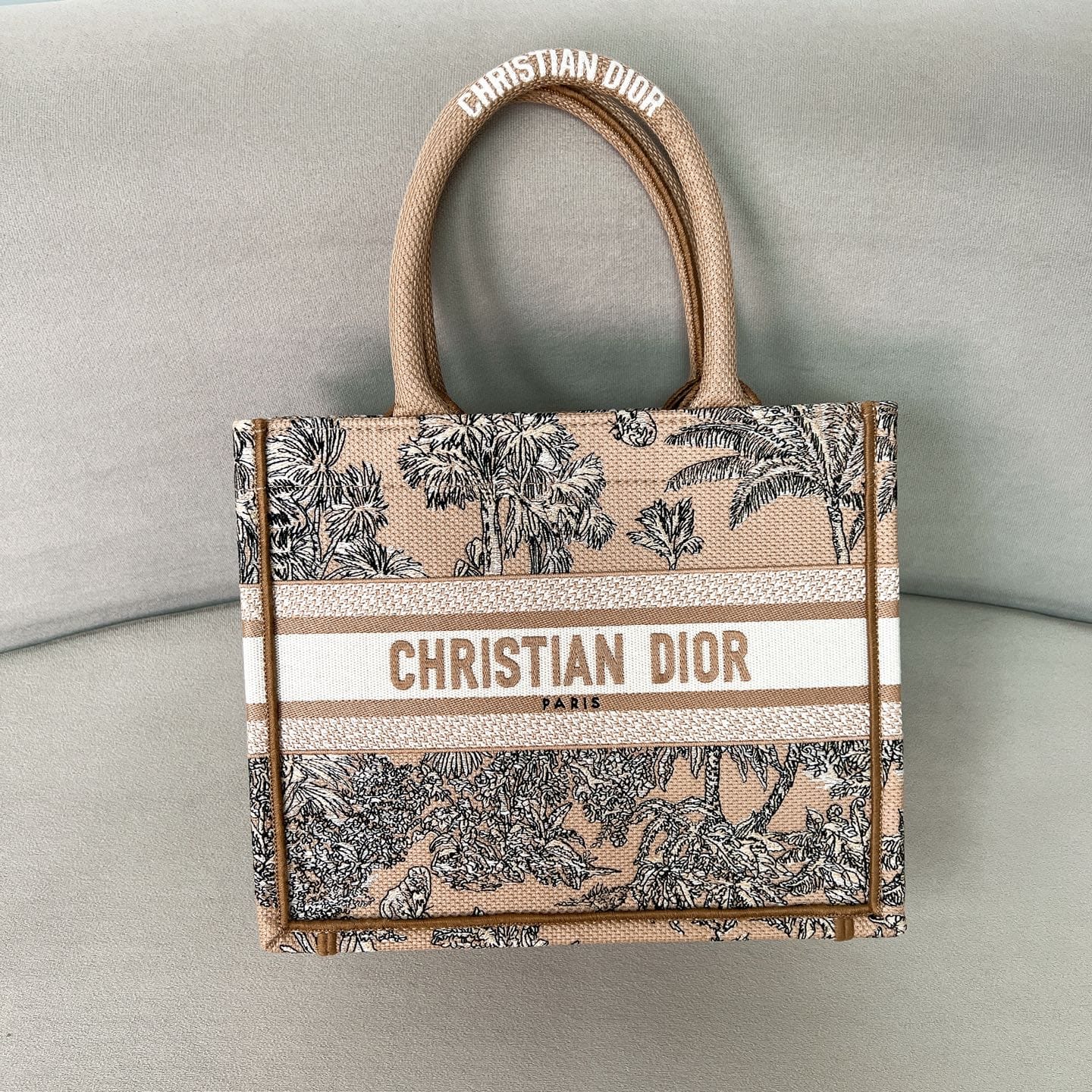Book Tote Dior P398766076.15