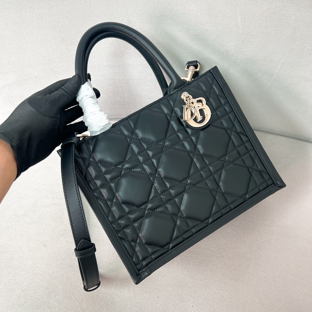 Book Tote Dior P3987660118.9