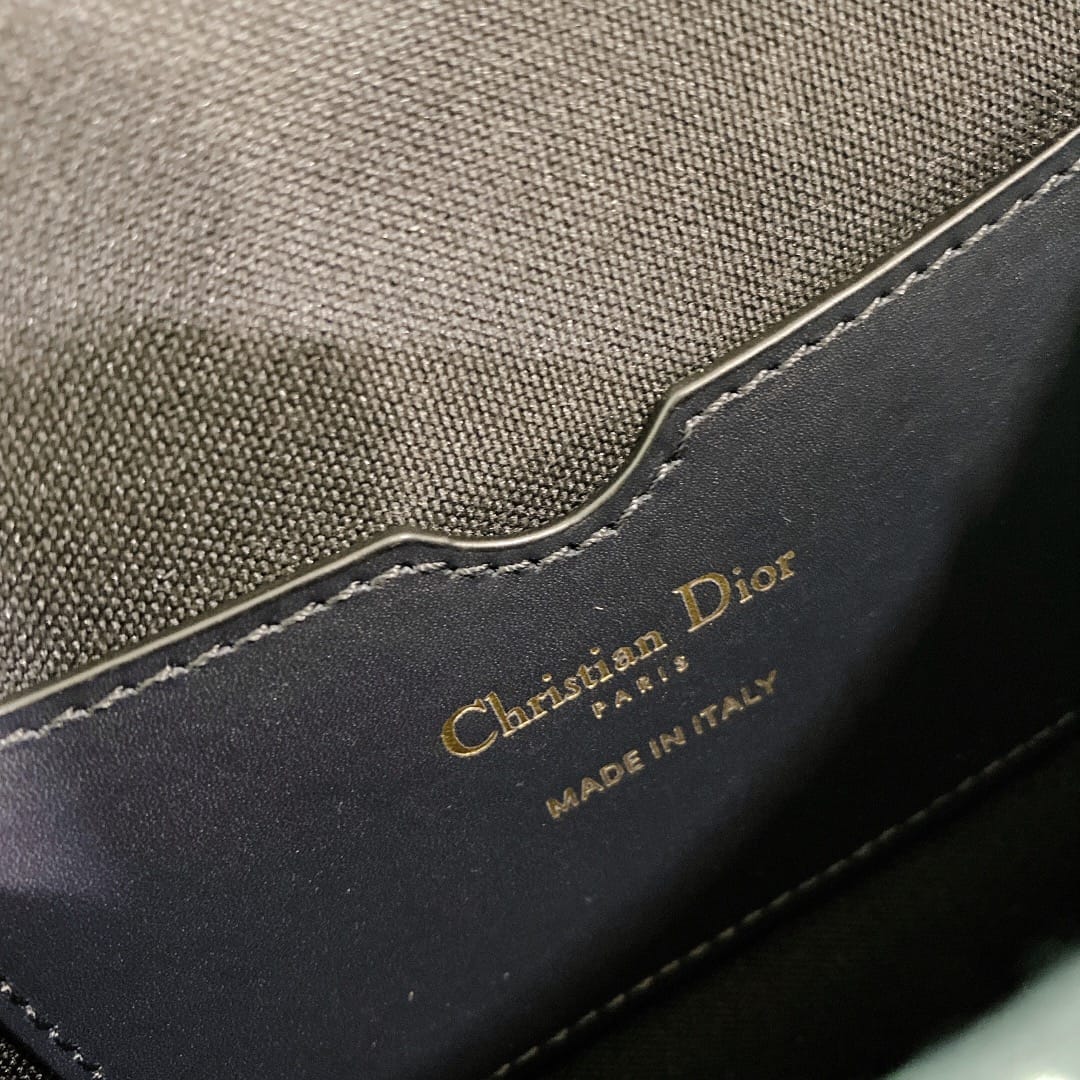 Saddle Dior P398766088.19